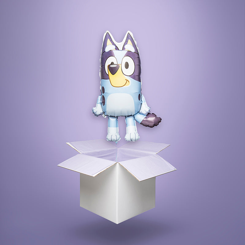 Balon foliowy z helem w kształcie pieska Bluey unosi się z białego pudełka prezentowego. Idealny na prezent, Wysyłka cała Polska