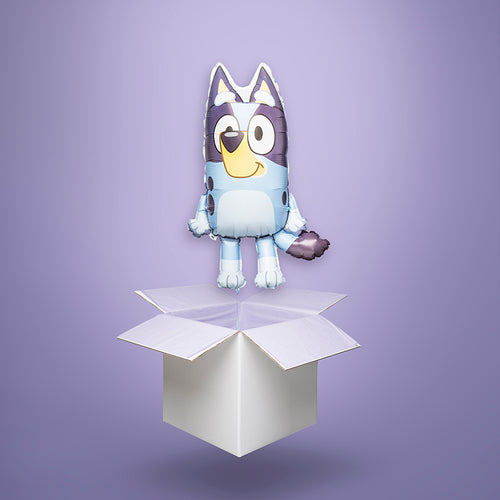 Balon foliowy z helem w kształcie pieska Bluey unosi się z białego pudełka prezentowego. Idealny na prezent, Wysyłka cała Polska